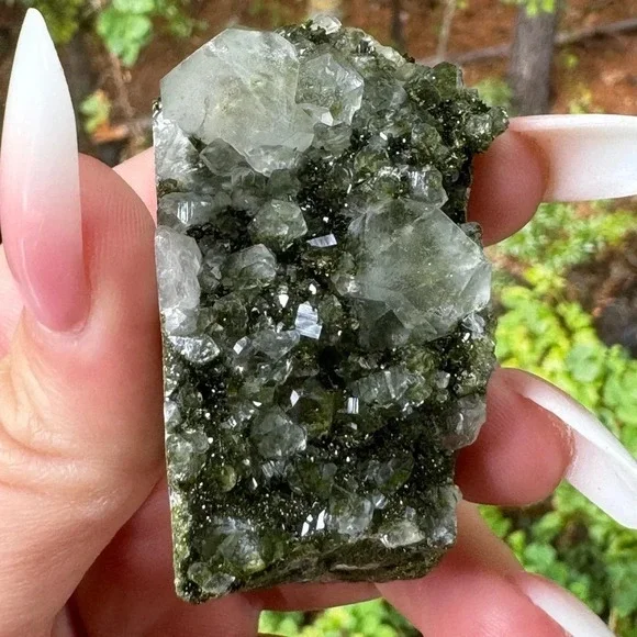 AAA Quality Fairy 🧚 Forest 🌳 Epidote & Quartz 🇹🇷 Raw Mineral Druzy Epidote - Picture 4 of 9